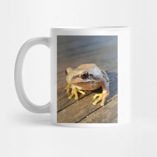 Golden Frog  - by Avril Thomas Mug